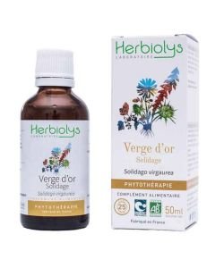 Extrait de plante fraîche - Solidage verge d'or BIO - Solidago vrga-aurea BIO, 50 ml
